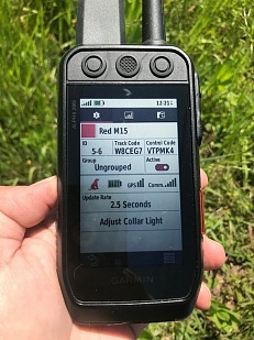 Система слежения за собакой GPS навигатор Garmin  Alpha 200 EU-Nordic с ошейником TT 15x