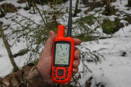 Система слежения за собакой - GPS навигатор Garmin Alpha 50 с ошейником T5x  EU-Nordic (ЕВРОПЕЙСКАЯ ВЕРСИЯ)